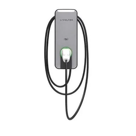Livoltek 22kW EV Araç Şarj İstasyonu Montaj Dahil